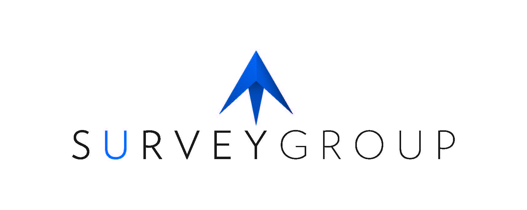 Survey Group Icon